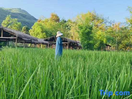 Yunshe Puju Guesthouse