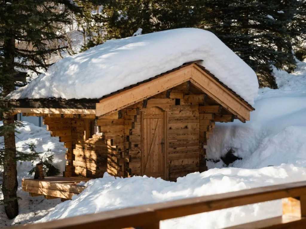 Chalet 4★, 12 pers, 5 chambres, terrasses ensoleillées, navette à proximité - FR-1-304-270