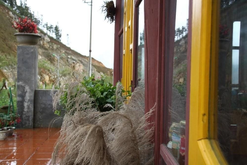 Sapa Maison Homestay