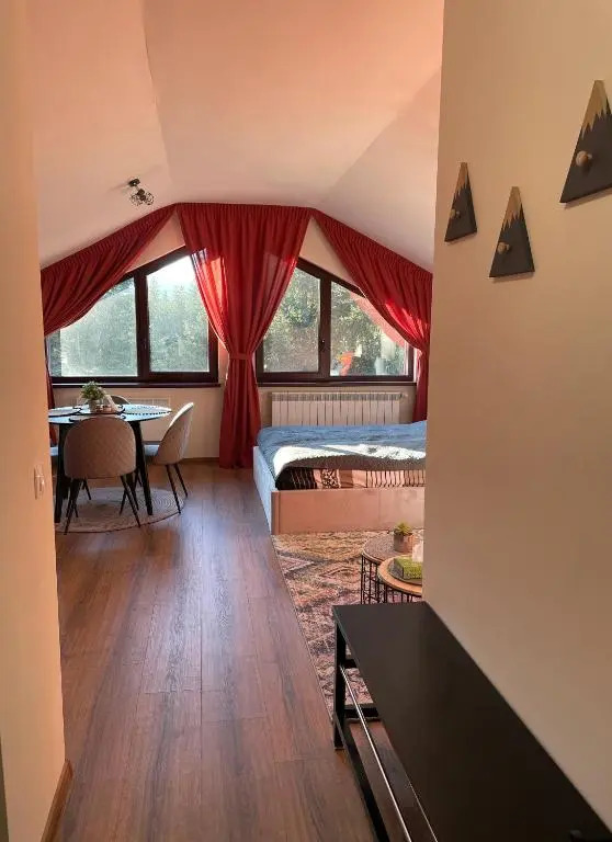 Rustic Mountain Apartment - A55