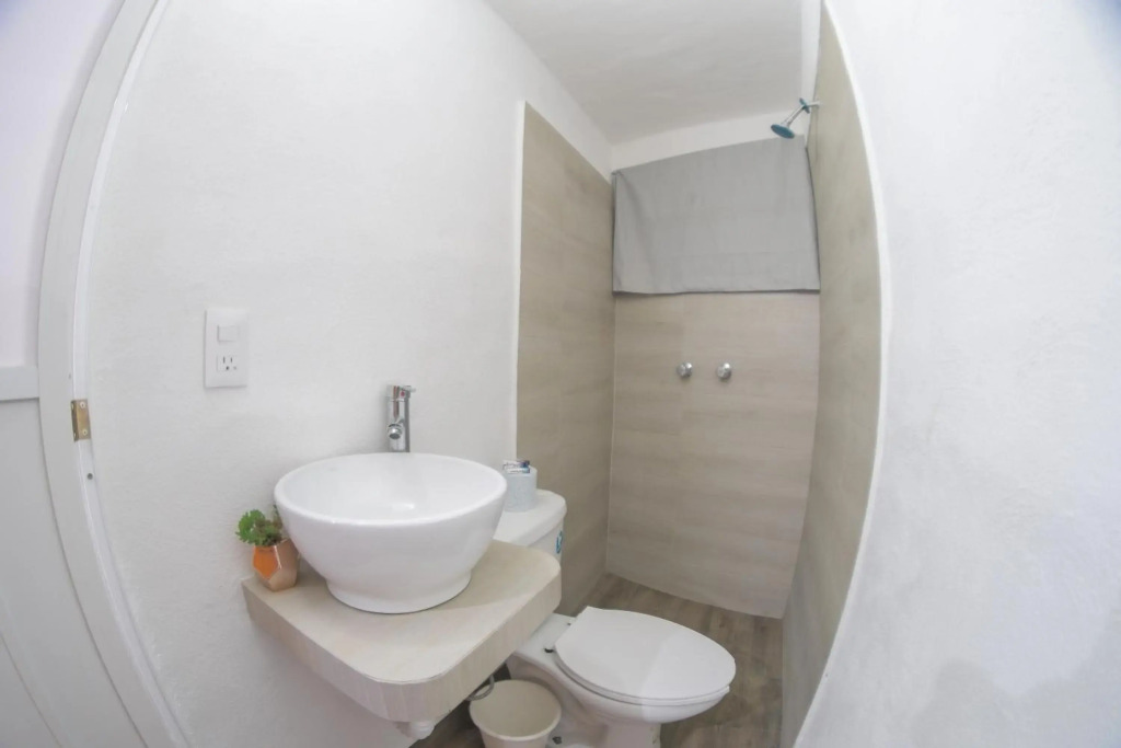 Hotel San Carlos