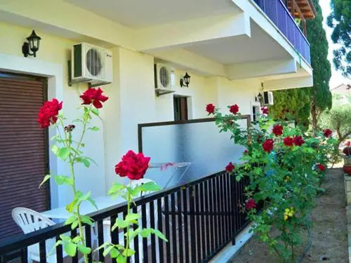 Red Rose Garden
