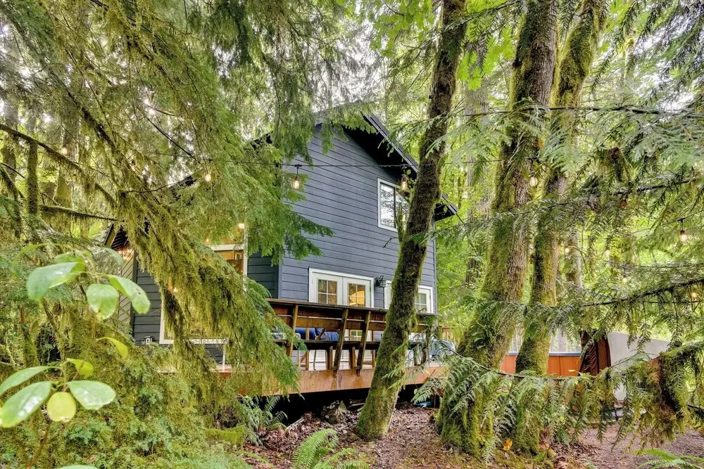 Rhododendron Creekside Cabin w/ Hot Tub & Fire Pit