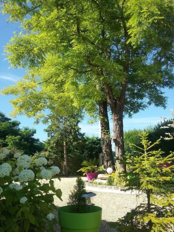 Gîte Les Acacias