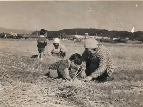 Shirasagisou