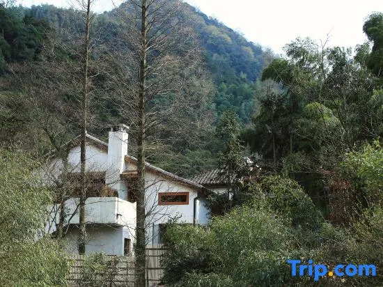 Xipu Boutique Hostel