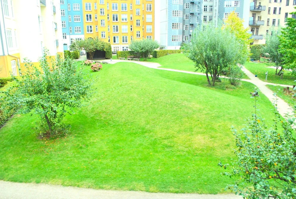 Economy City Center Apartment Copenhagen