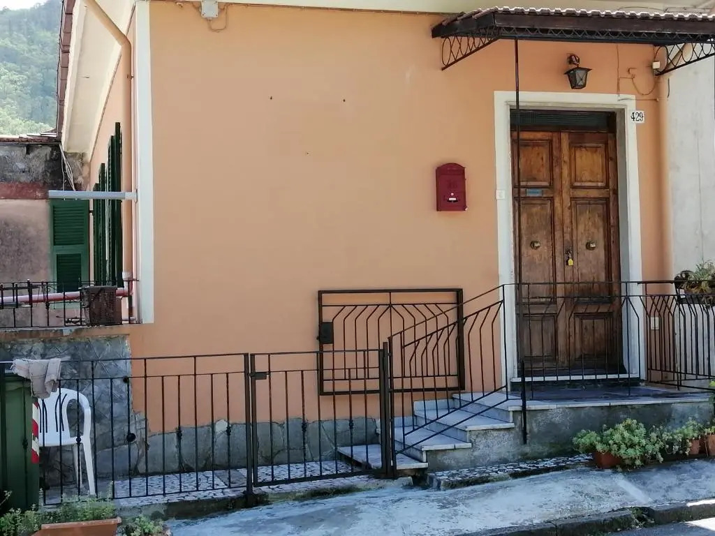 I Limoni di Matteo