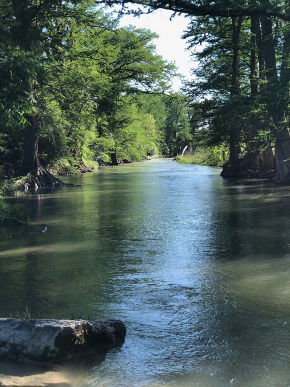 Wild Arrow Ranch