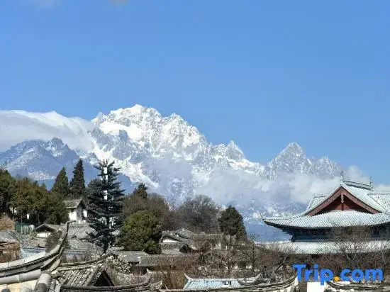 Yiyuan Snow Mountain View Historical Naxi House - Lijiang Old Town Mufu Branch - English service and tour arrangement