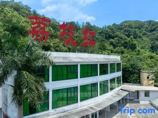 Guangzhou Litchihong Hot Spring Resort