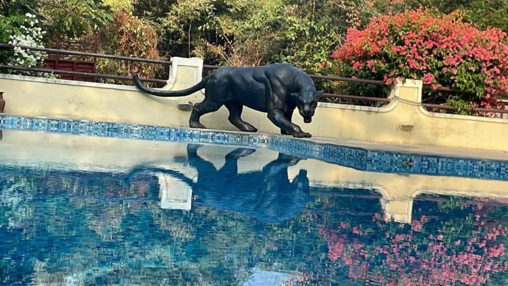 Irai Safari Retreat