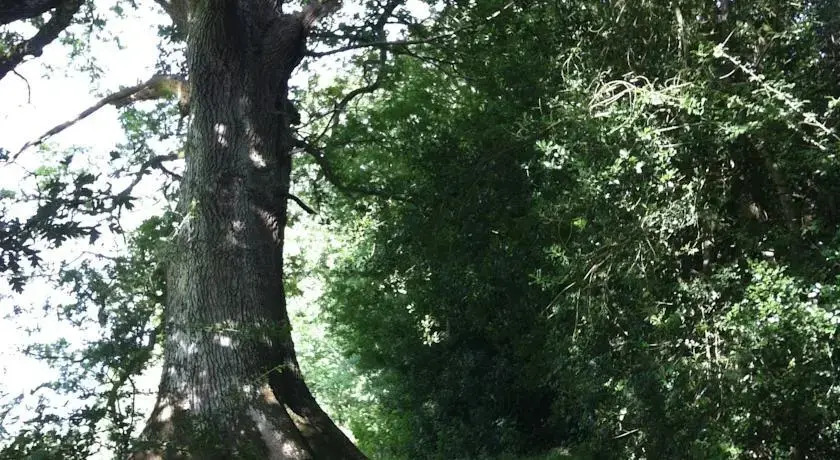 Newburn Farm