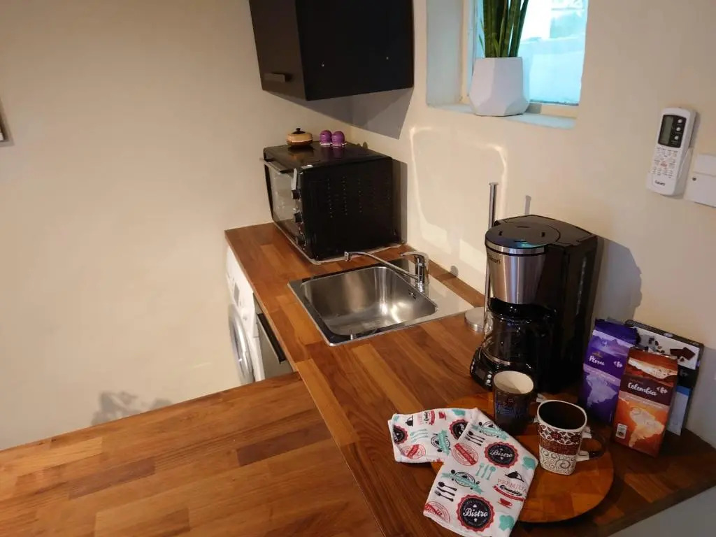 V35 Backyard studio home