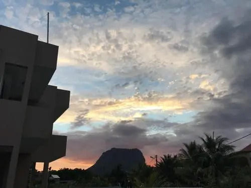 Luxe Exotica Apartments
