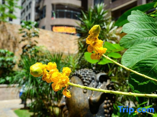 WWW Seaview Apartment