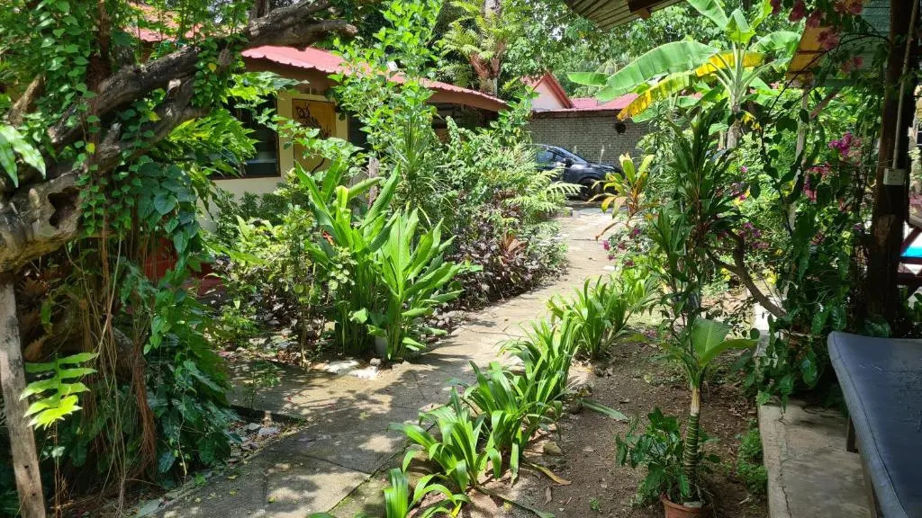 Gecko Guesthouse