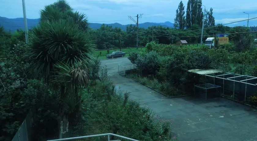 Zaza Apartment on Abashidze