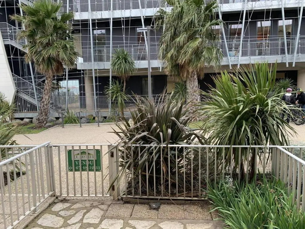 Appartement Balaruc-les-Bains, 1 pièce, 2 personnes - FR-1-571-45