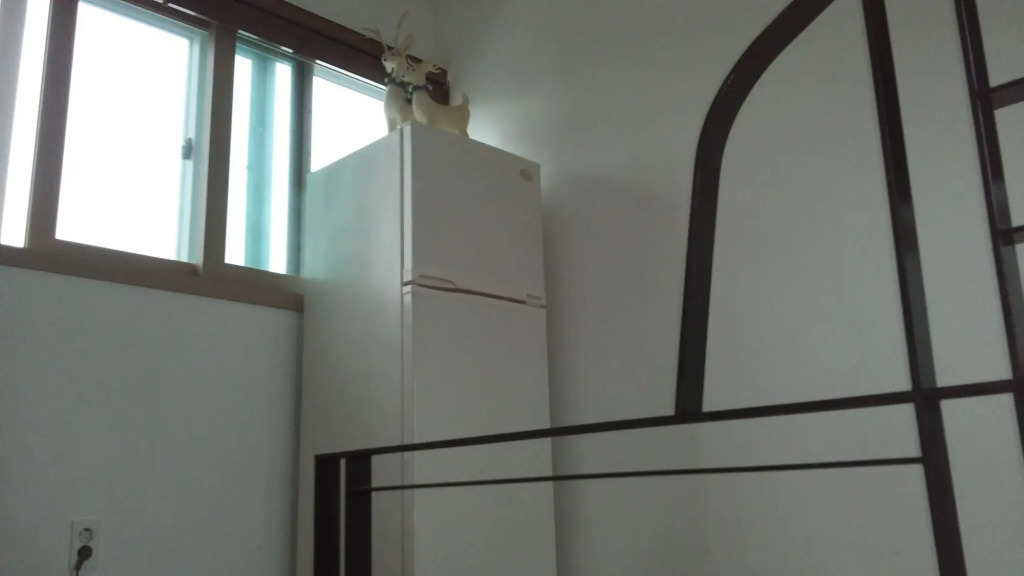 Ophir House Jeju