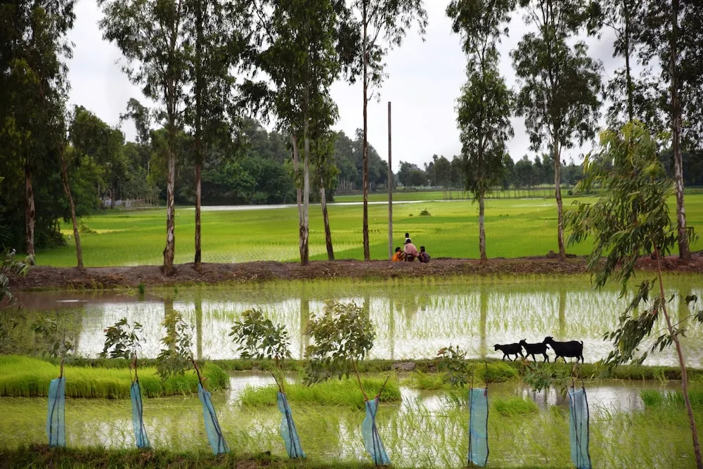 Backpackers Eco Village