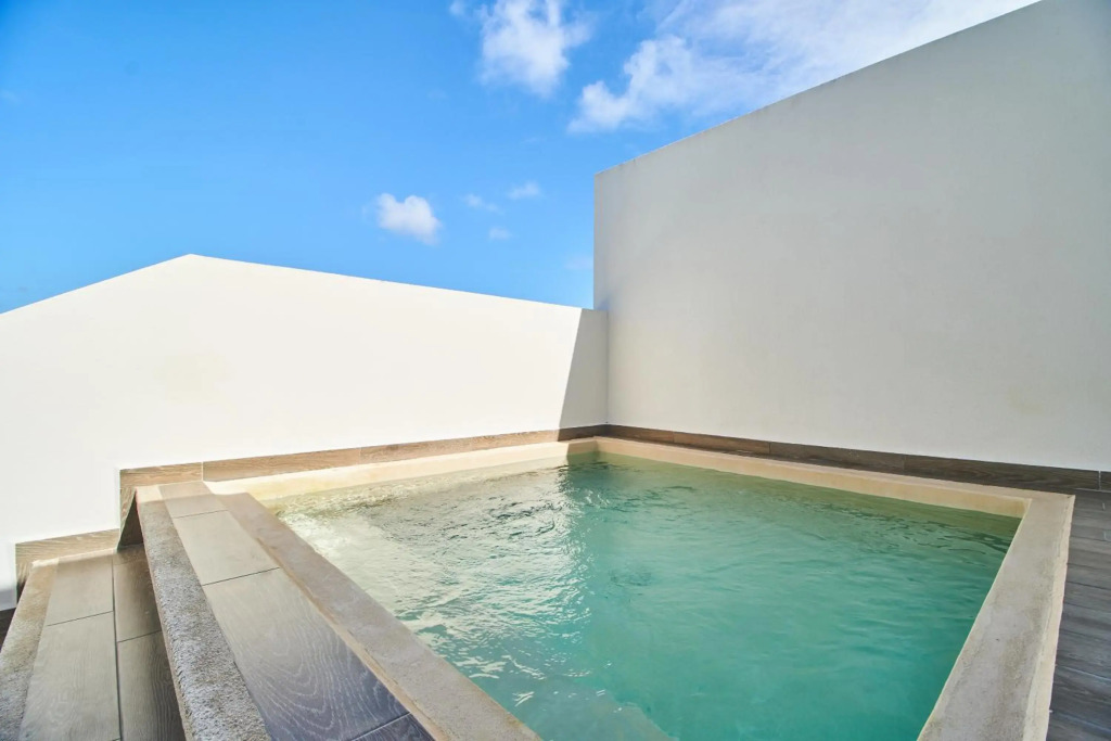 1 bedroom Penthouse with Private Rooftop & Plunge Pool in La Veleta