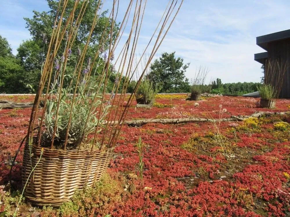 D'une Autre Nature