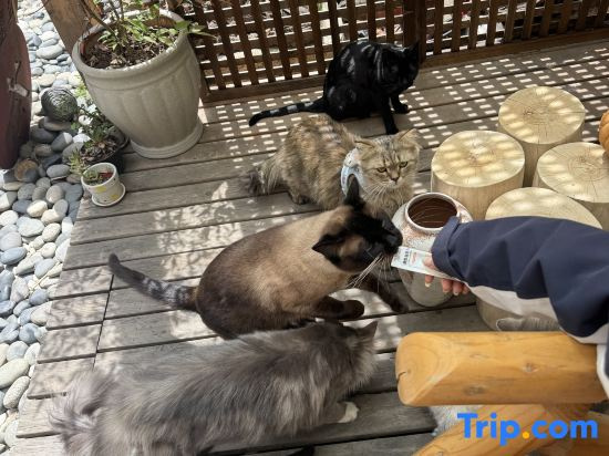 Stay With The Love In Dali Homestay