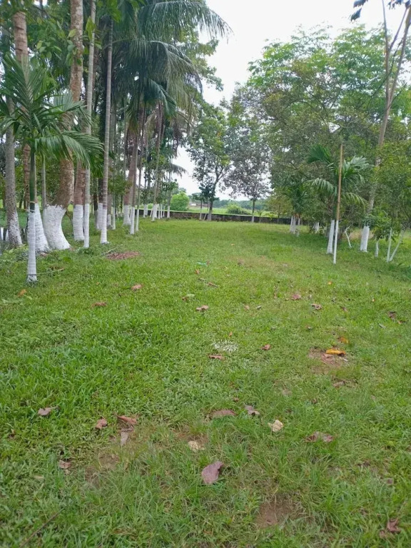 Aminvilla Resort