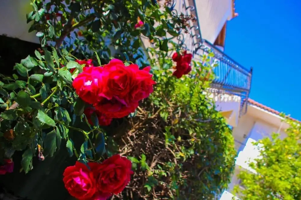 Medousa Apartments