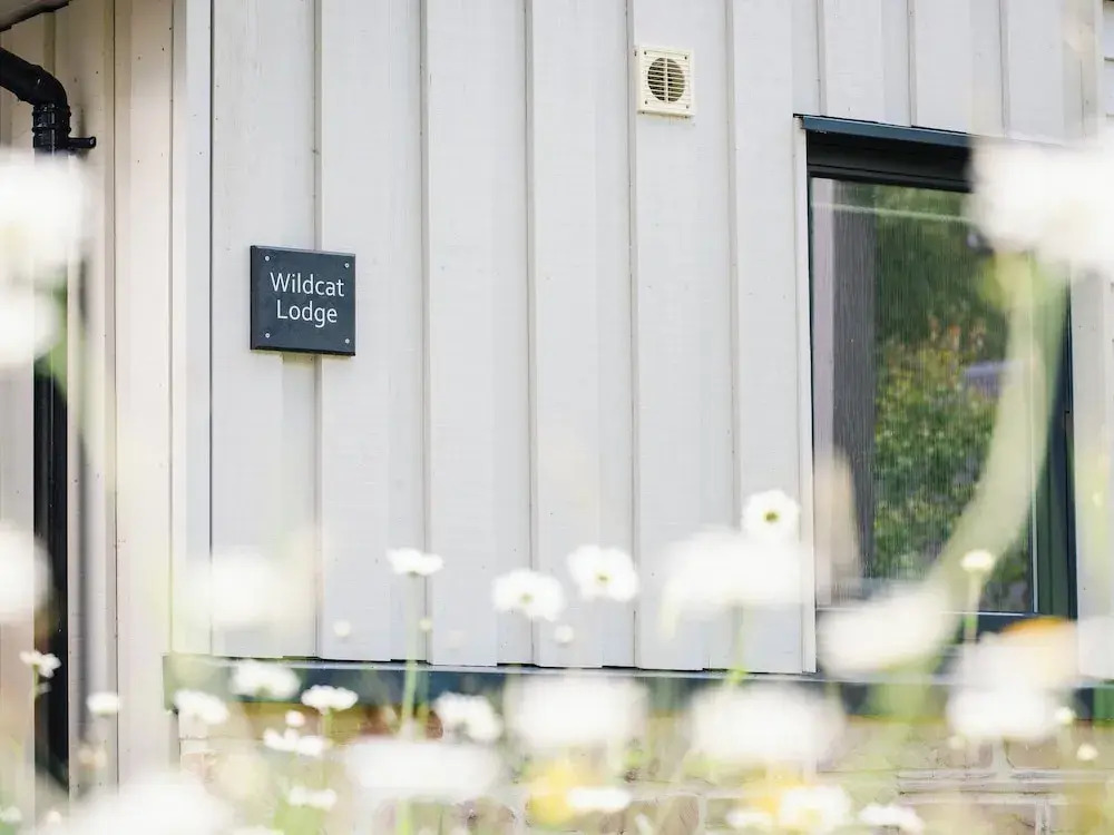 Wildcat Lodge