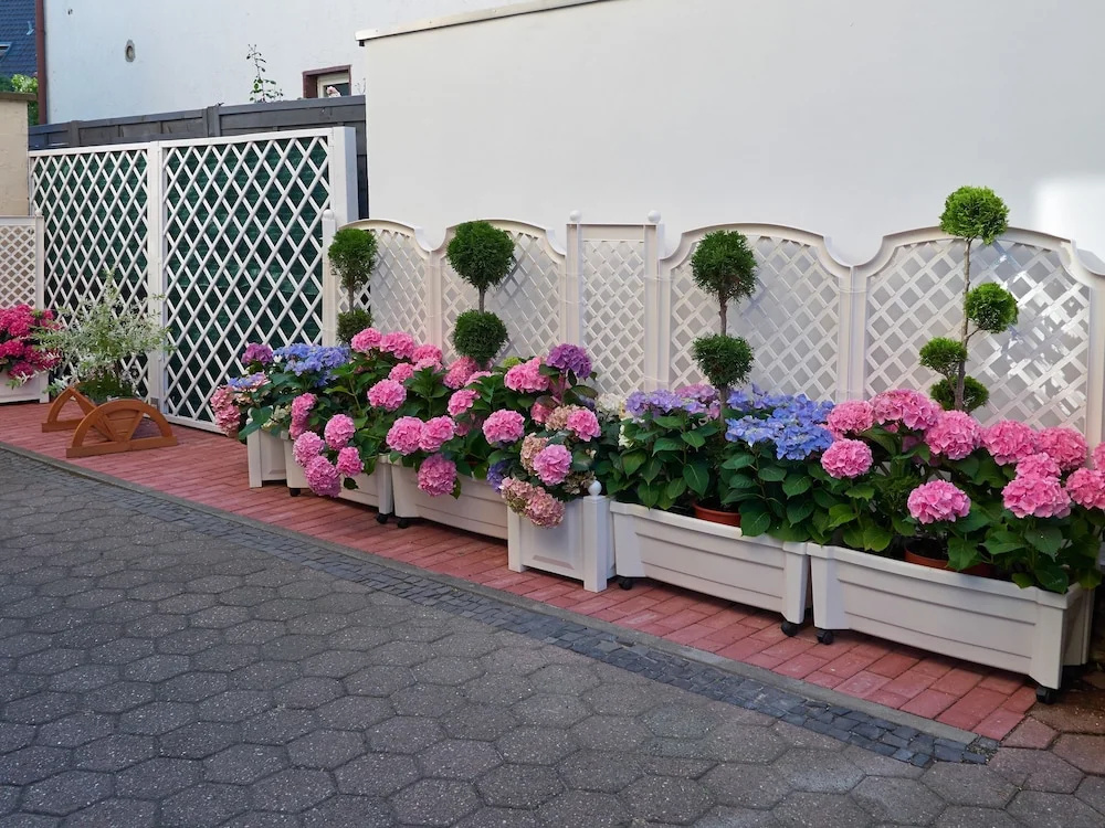 Haus Mooren, Hotel Garni