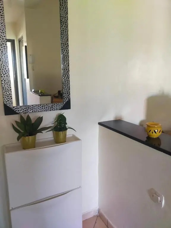 Entire Apartment