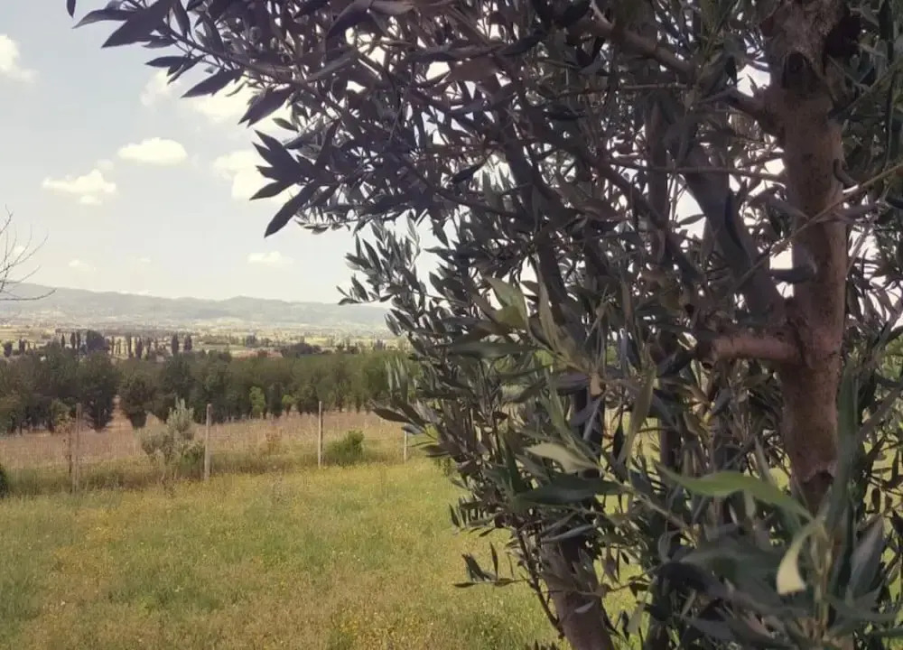 Mobile Home by Lake Trasimeno Fun