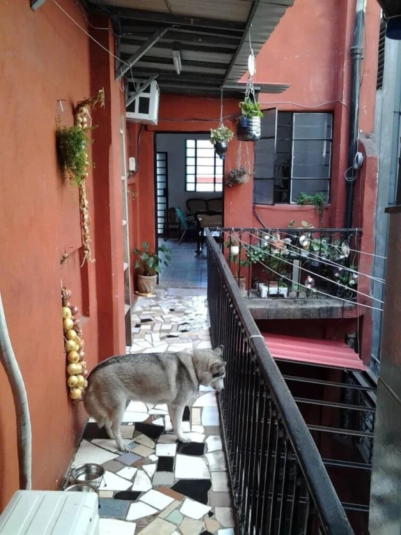 Hostal Casa Novas