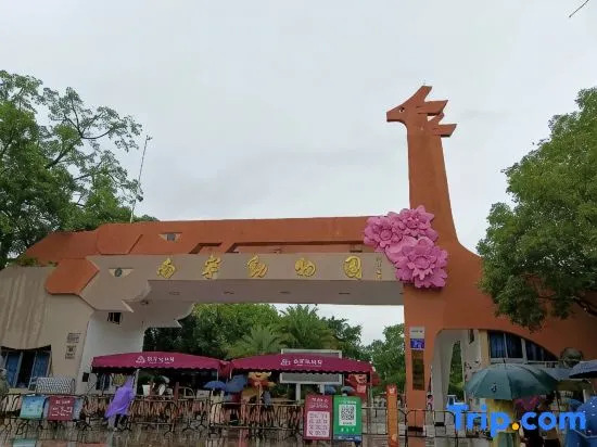Wanlong Hotel (Nanning Guangxi University 33rd Middle School Subway Station)