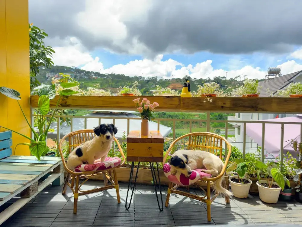 Gio Homestay