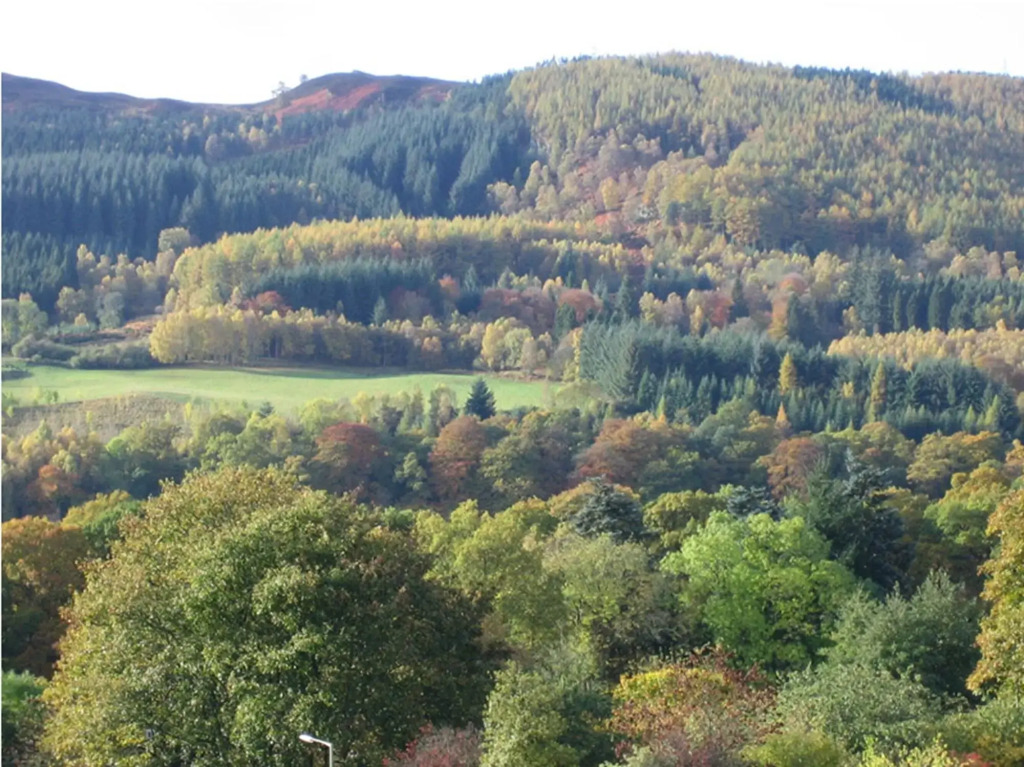 Tigh Na Cloich