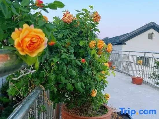 Qiyue Chinese Inn (Taishan Scenic Area Hongmen)