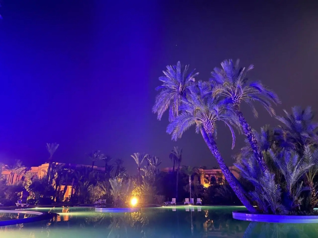 Palmeraie 3 Vue Piscine et Jardin