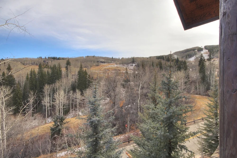 Stunning 4 Bedroom Condo Snowcloud Base Of Bachelor Gulch Condo by RedAwning