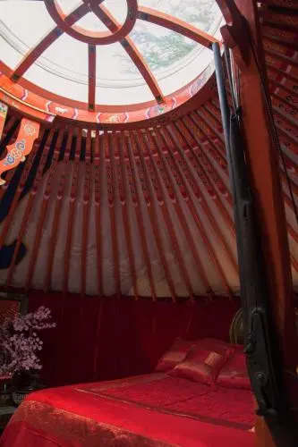 Crazy Lounge B&B