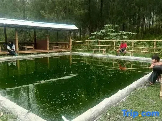 Istana Bromo Resort And Resto