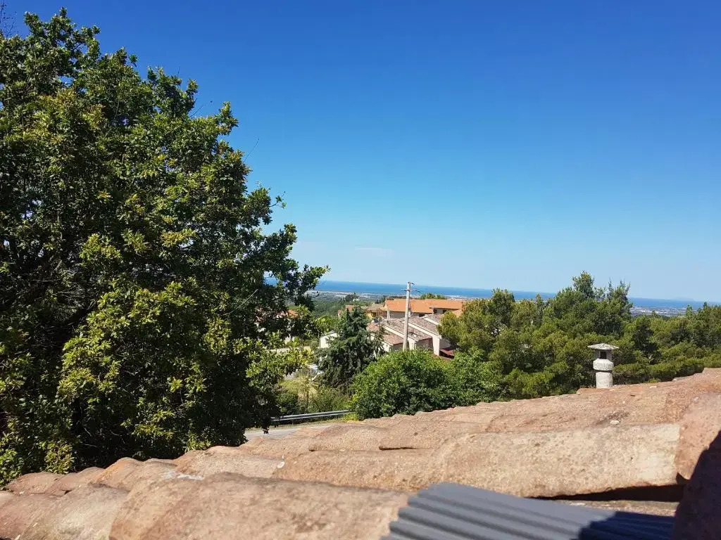 La Bellana