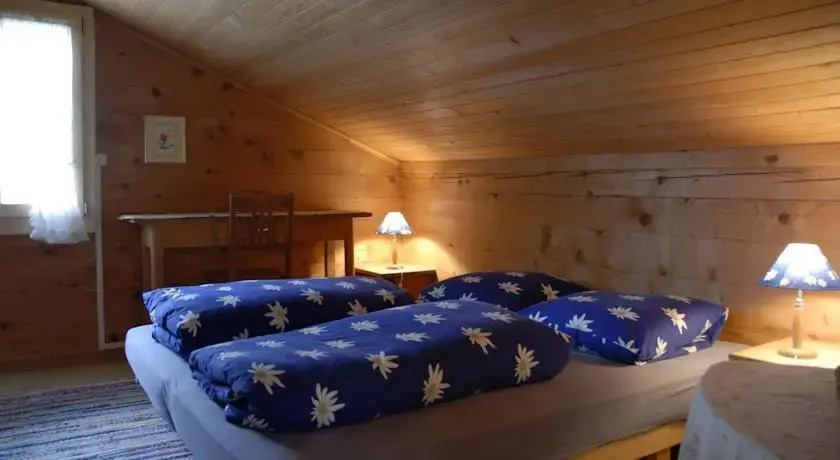 Chalet Oltschi
