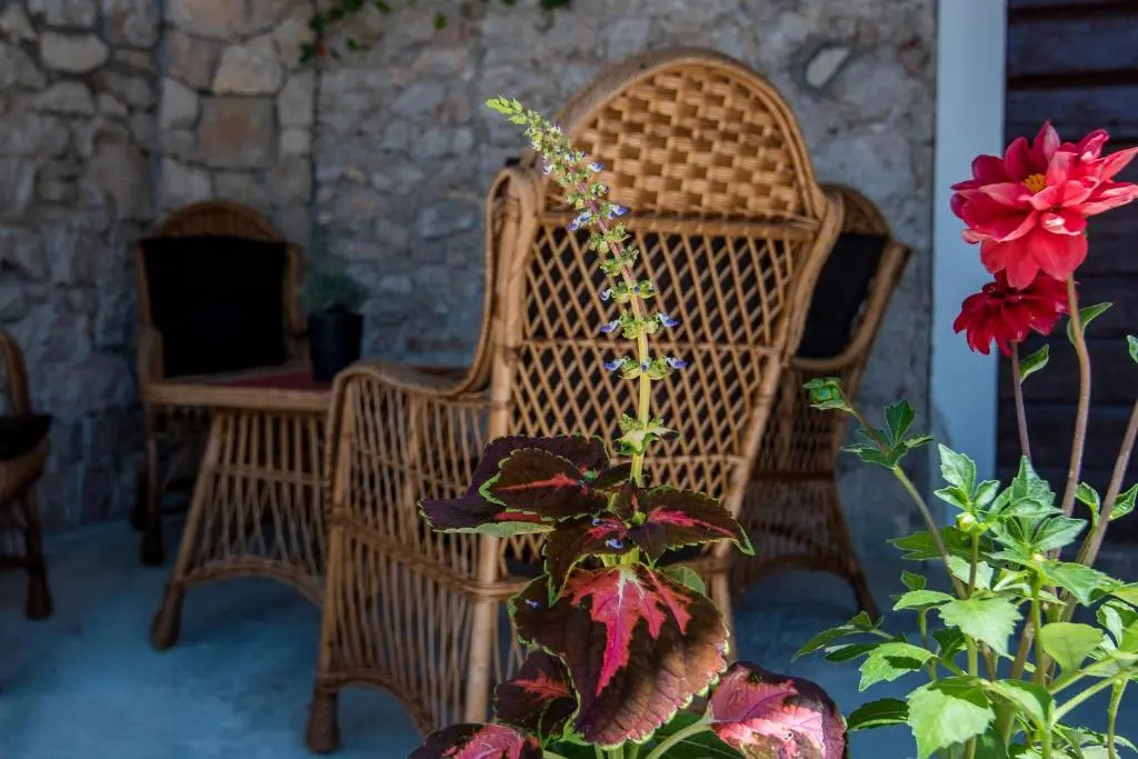 Apartment Batinica