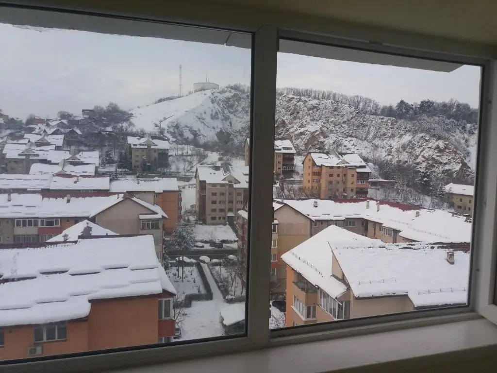 Apartament Viorea