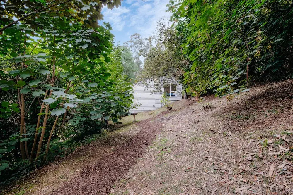Steep Creek Retreat