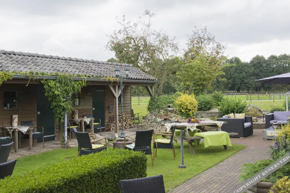 B&B de Ster van Dwingeloo