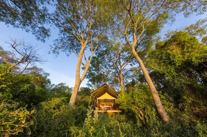 Glamping Los Palmares